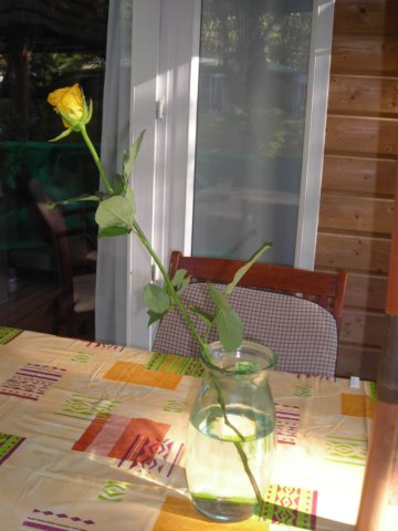 dscn2151.jpg
