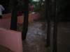 dscn2165_small.jpg