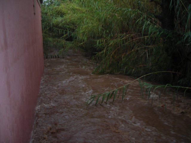 dscn2166.jpg