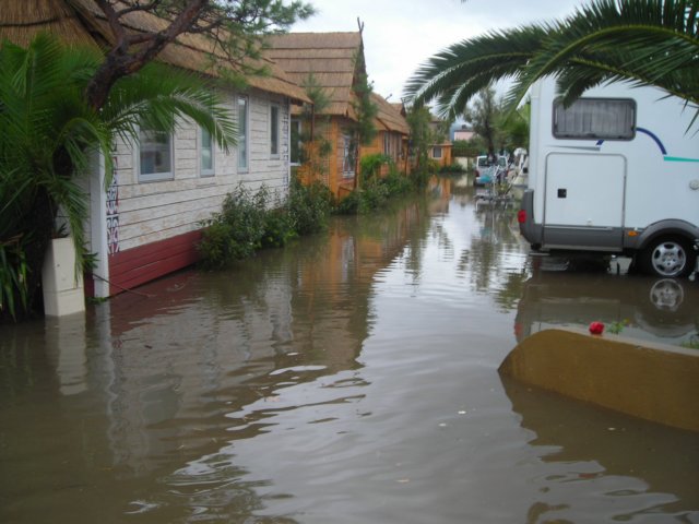 dscn2175.jpg
