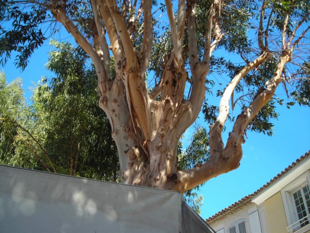 dscn2605.jpg
