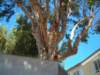 dscn2605_small.jpg