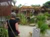 dscn2675_small.jpg