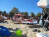 img_0411_small.jpg