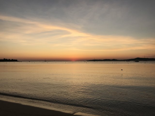 img_26113.jpg
