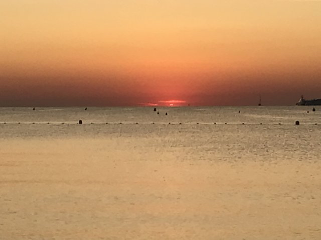 img_26122.jpg