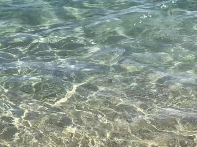 photo53.jpg